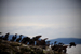 _mg_3876.jpg