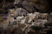 _mg_3986.jpg