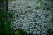 _mg_4896.jpg