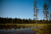 _mg_5009.jpg