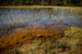 _mg_5011.jpg