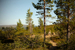 _mg_5127.jpg