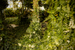 _mg_5342.jpg