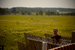 _mg_5467.jpg