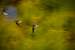 _mg_5476.jpg