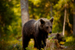 _mg_5885.jpg