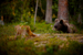 _mg_5951.jpg