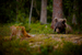 _mg_5953.jpg