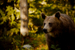 _mg_6032.jpg