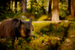 _mg_6116.jpg