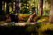 _mg_6260.jpg