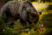 _mg_6303.jpg