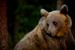 _mg_6468.jpg