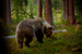_mg_6495.jpg