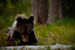 _mg_6586.jpg