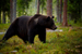 _mg_6750.jpg