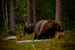 _mg_6884.jpg