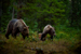 _mg_6939.jpg
