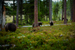 _mg_6957.jpg