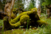 _mg_7215.jpg