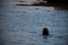 _mg_2586.jpg