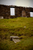 _mg_2785.jpg