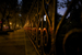 _mg_7525.jpg