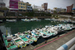 _mg_9021.jpg