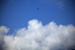 _mg_9554.jpg