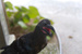 img__0012.jpg