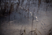 _mg_5855.jpg