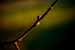 _mg_6105.jpg
