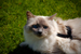 _mg_6224.jpg