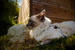 _mg_6311.jpg