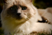 _mg_6344.jpg