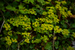 _mg_6502.jpg