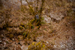 _mg_3247.jpg