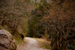_mg_3259.jpg