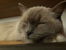 20160514_155819.jpg