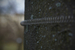 _mg_0416.jpg