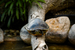 _mg_5050.jpg