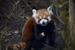 _mg_6521.jpg