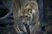 _mg_6538.jpg