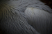 _mg_6669.jpg