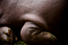_mg_6867.jpg