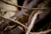 _mg_6947.jpg