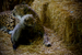 _mg_6608.jpg