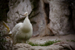 _mg_6655.jpg