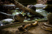 _mg_6744.jpg