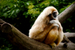 _mg_6891.jpg